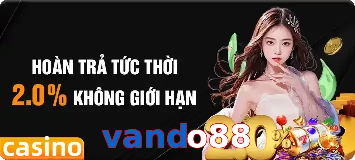 vando88